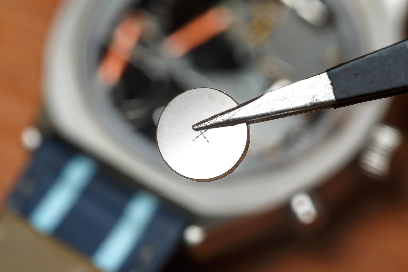 Tweezers holding a new button cell during a watch battery change